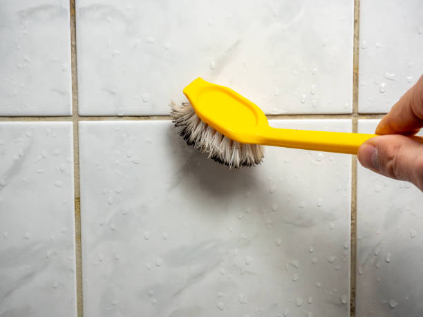 Best Residential Mold Remediation in Park Ridge, IL