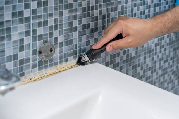 Best Mold Remediation for Specific Building Types in Park Ridge, IL